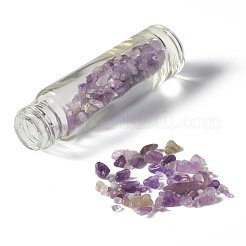 Бутылки с шариками из натурального аметиста&nbsp;AJEW-H101-01D
