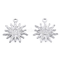 Подвески из нержавеющей стали 201&nbsp;X-STAS-N098-171P