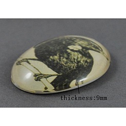 Gehärtetem Glas Cabochons GGLA-R193-3