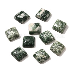 Natürliche grüne Jaspis-Cabochons G-I359-05