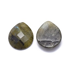 Natur Labradorit Cabochons G-L514-009