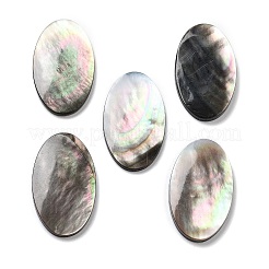 Natürliche schwarze Lippe Shell Cabochons SSHEL-D084-04A