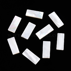 Natürliche weiße Muschel cabochons SSHEL-T017-07