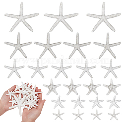 30 Stück 6 Stile opake Harz Meerestier Decoden Cabochons RESI-NB0002-07