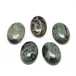 Natürliche Kambaba Jaspis Cabochons G-R450-01