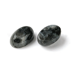 Natürliche Larvikit-Cabochons G-A094-01A-07