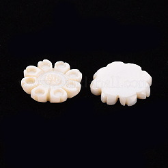 Süßwasser Shell Cabochons SHEL-T018-14