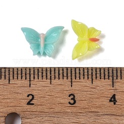Leuchtende Decoden-Cabochons aus Harz RESI-K036-17