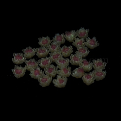 Leuchtende Decoden-Cabochons aus Harz RESI-K036-06H
