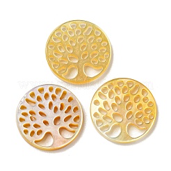 Natürlicher gelber Schal cabochons SSHEL-N038-02C