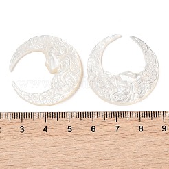 Natürliche weiße Muschel-Cabochons geschnitzt SSHEL-C012-11