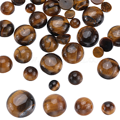 40 Stück 4 Stile natürliche Tigerauge Cabochons G-SC0002-48