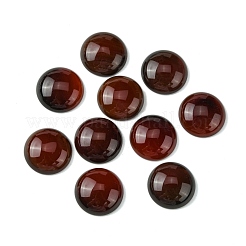 Natürlichen Karneol cabochons G-L601-02A-02