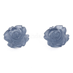 Transparente Harzcabochons CRES-N030-027