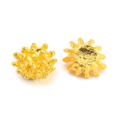 Legierung Cabochons FIND-D033-01G