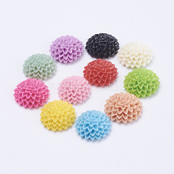 Undurchsichtigen Cabochons X-CRES-R021-M