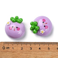 Undurchsichtige Decoden-Cabochons aus Harz CRES-M031-06
