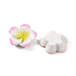 Undurchsichtigen Cabochons RESI-R455-01C