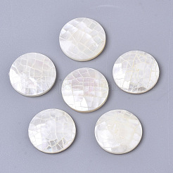 Natürliche weiße Muschel Perlmutt Muschel Cabochons SSHEL-N034-42