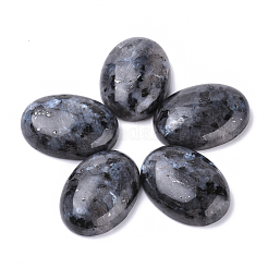 Natürliche Larvikit-Cabochons G-T062-19