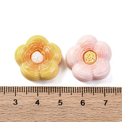 Undurchsichtigen Cabochons RESI-R455-01D