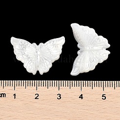 Natürliche weiße Muschel-Cabochons geschnitzt SSHEL-I026-30