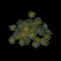 Leuchtende Decoden-Cabochons aus Harz RESI-K036-06G