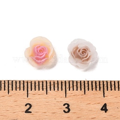 Leuchtende Decoden-Cabochons aus Harz RESI-K036-06J