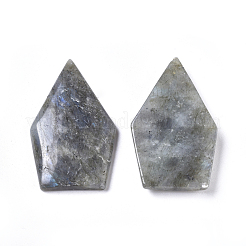 Natur Labradorit Cabochons G-F658-01