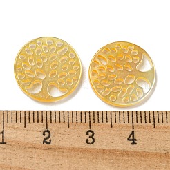 Natürlicher gelber Schal cabochons SSHEL-N038-02C