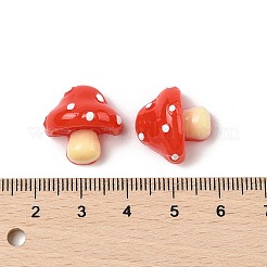 Harz Cabochons RESI-S012-03A