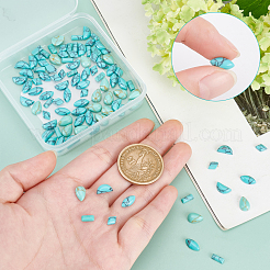 100 Stück synthetische türkisfarbene Cabochons in 5 Stilen G-SC0002-26