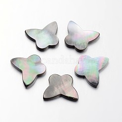 Schmetterling natürlich schwarz Lippe Shell Cabochon SHEL-L003-39