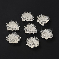 Transparente Harzcabochons X-RESI-G027-01A