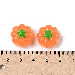 Harz Cabochons RESI-S012-03B