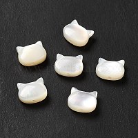 Натуральные белые бусины из ракушек&nbsp;SHEL-G014-10B-01