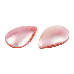 Natürliche Turbo Cornulus/Top Shell Cabochons SSHEL-N003-157B