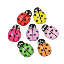 Transparente Harz Insekten Decoden Cabochons CRES-I035-03
