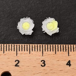 Leuchtende Decoden-Cabochons aus Harz RESI-K036-06G