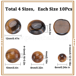 40 Stück 4 Stile natürliche Tigerauge Cabochons G-SC0002-48