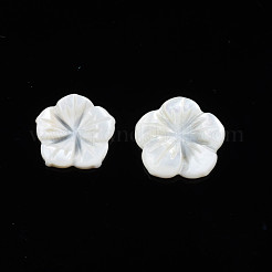 Natürliche Süßwasser Muschel Cabochons SHEL-N026-183