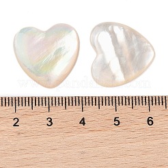 Natürliche weiße Muschel cabochons SSHEL-C012-20