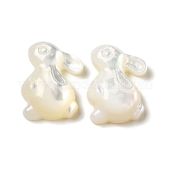 Natürliche weiße Muschel cabochons SSHEL-M022-15