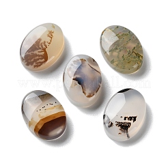 Natürliche dendritische Achat-Cabochons G-B138-01
