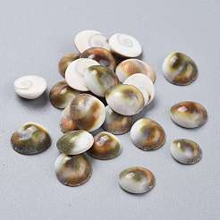 Natürliche Muschel-Cabochons SSHEL-K026-03A