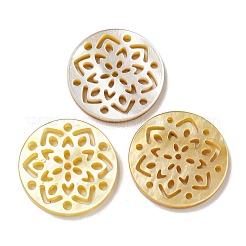 Natürlicher gelber Schal cabochons SSHEL-N038-02A