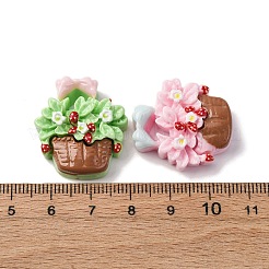 Undurchsichtigen Cabochons CRES-V001-03
