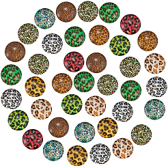 Glas cabochons GLAA-SC0001-04