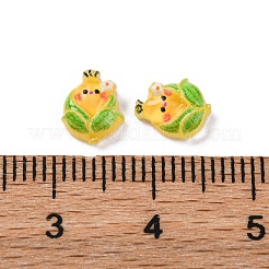 Cartoon-Cabochons aus transparentem Harz CRES-R459-01F