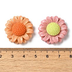 Undurchsichtige Decoden-Cabochons aus Harz RESI-M041-12